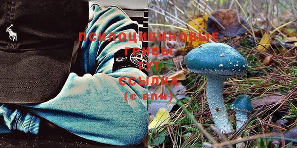 индика Нягань