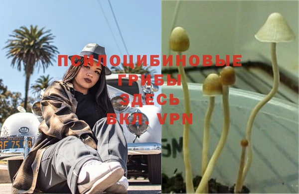 не бодяженный Абаза