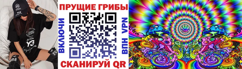мориарти клад  Ханты-Мансийск  Галлюциногенные грибы прущие грибы 